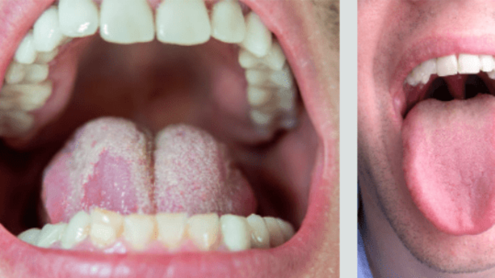 Captura de tela 2024-09-26 115650