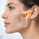 articulacao-temporomandibular-atm.jpg